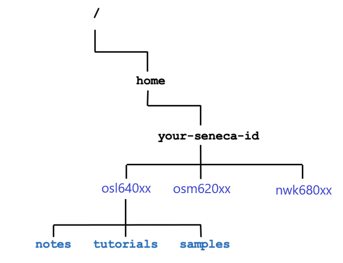 Lab 2 - Unix and Linux File Management | OPS145 - Introduction to Linux