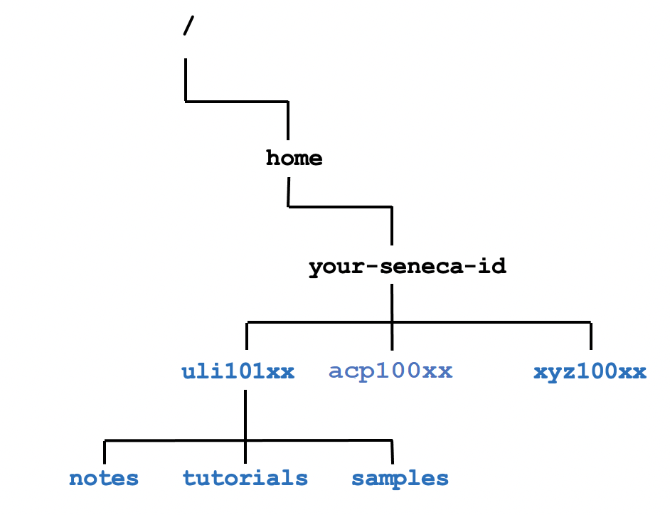 Image: Investigation 1 Directory Structure