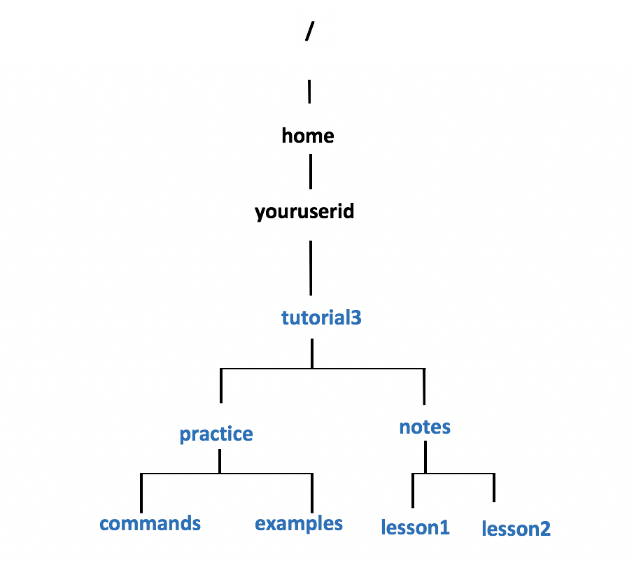 Image: Investigation 2 Directory Structure