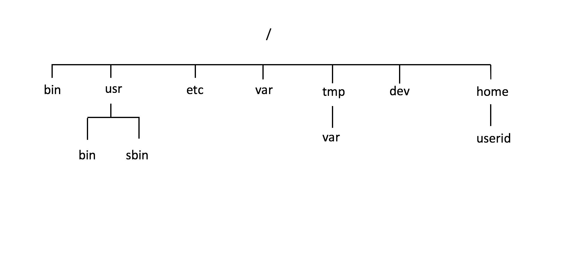 Image: Linux - Common Directories