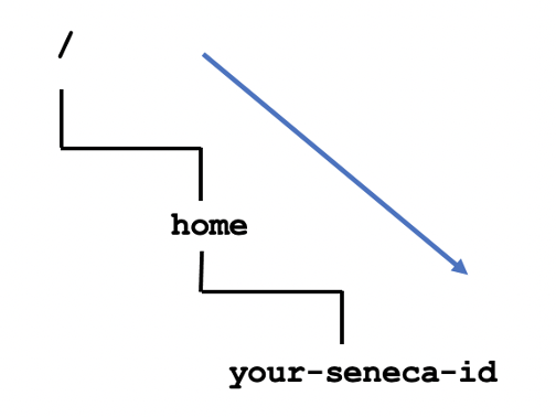 Image: Linux - Pathnames