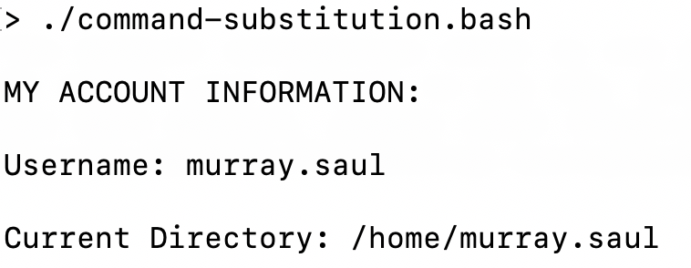 Command Substitution 1