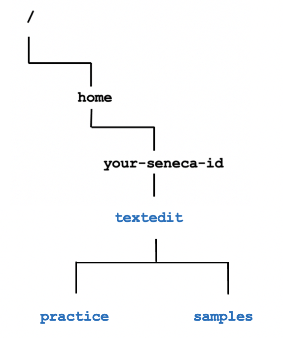 Directory Structure 10