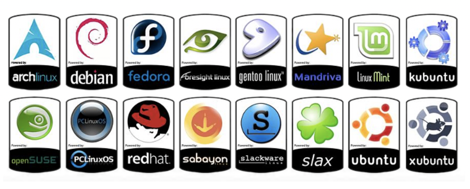 Common Linux Distributions