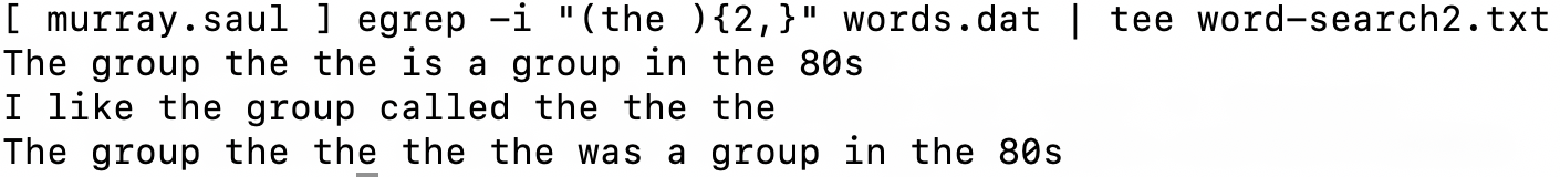 Ext Regex Output 3