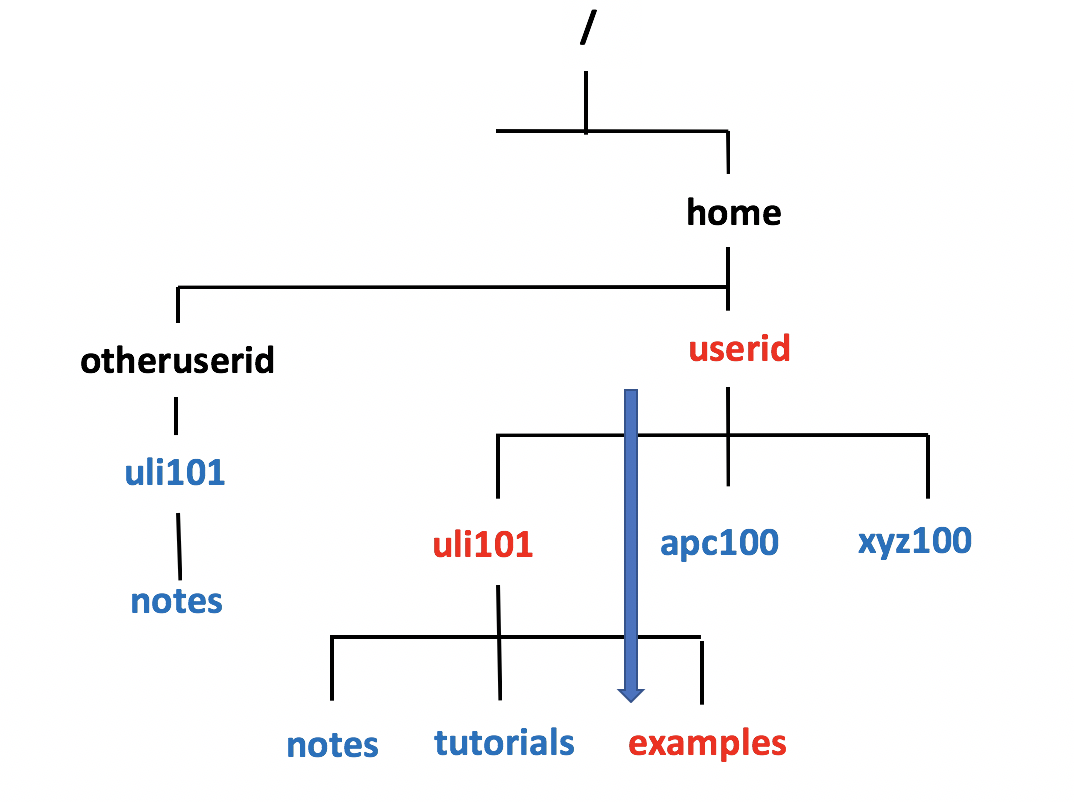 Relative To Home 1