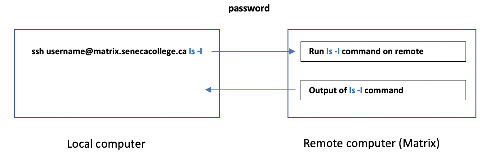 SSH Remote