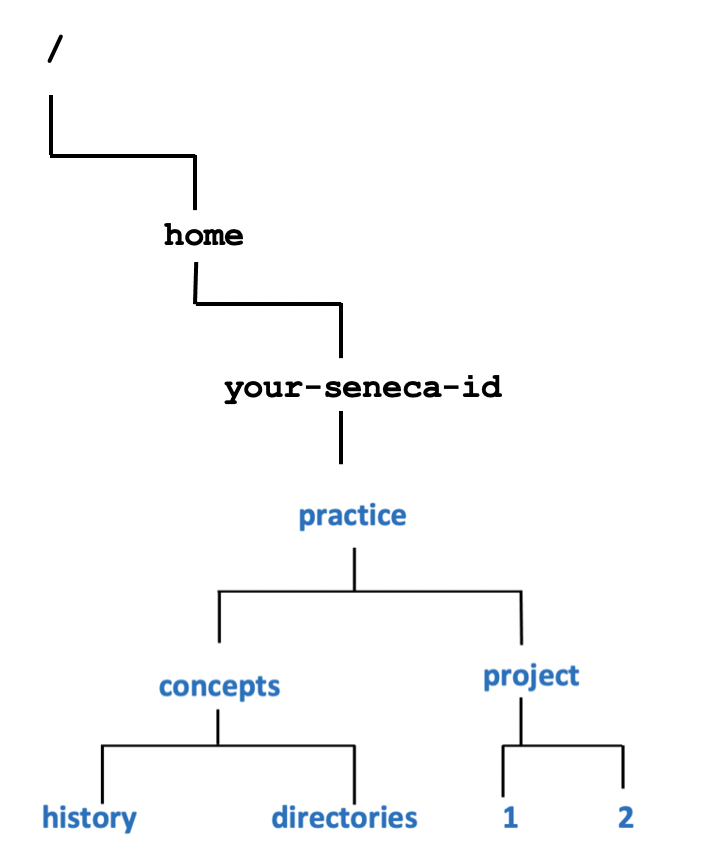 Tree Diagram