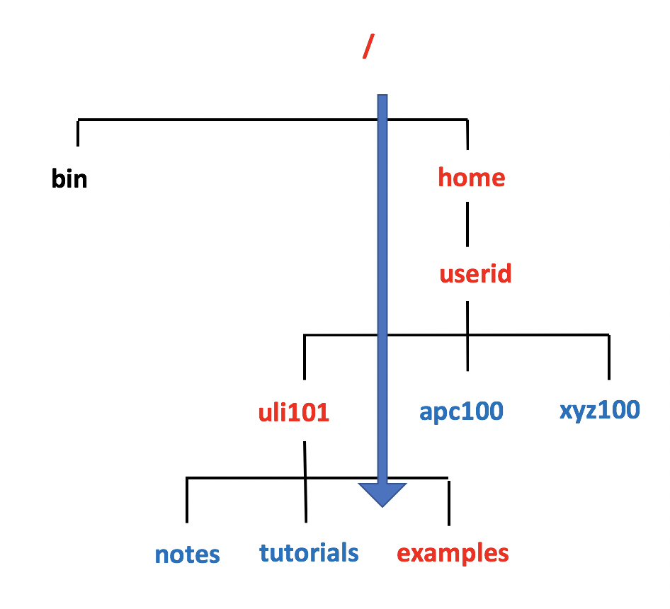 Absolute Path 1