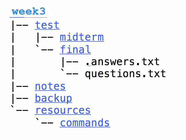 Week 3 Practice Question