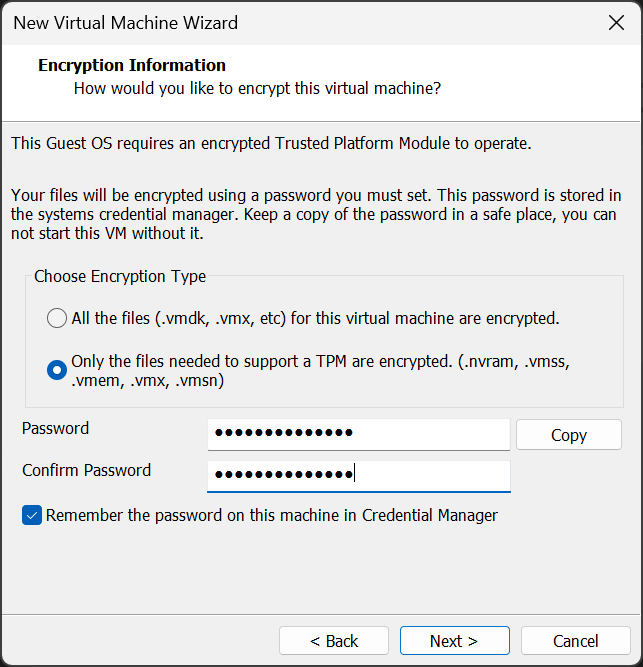 Fig 1. The Encryption Information page for creating a new Windows 11 VM in VMware.