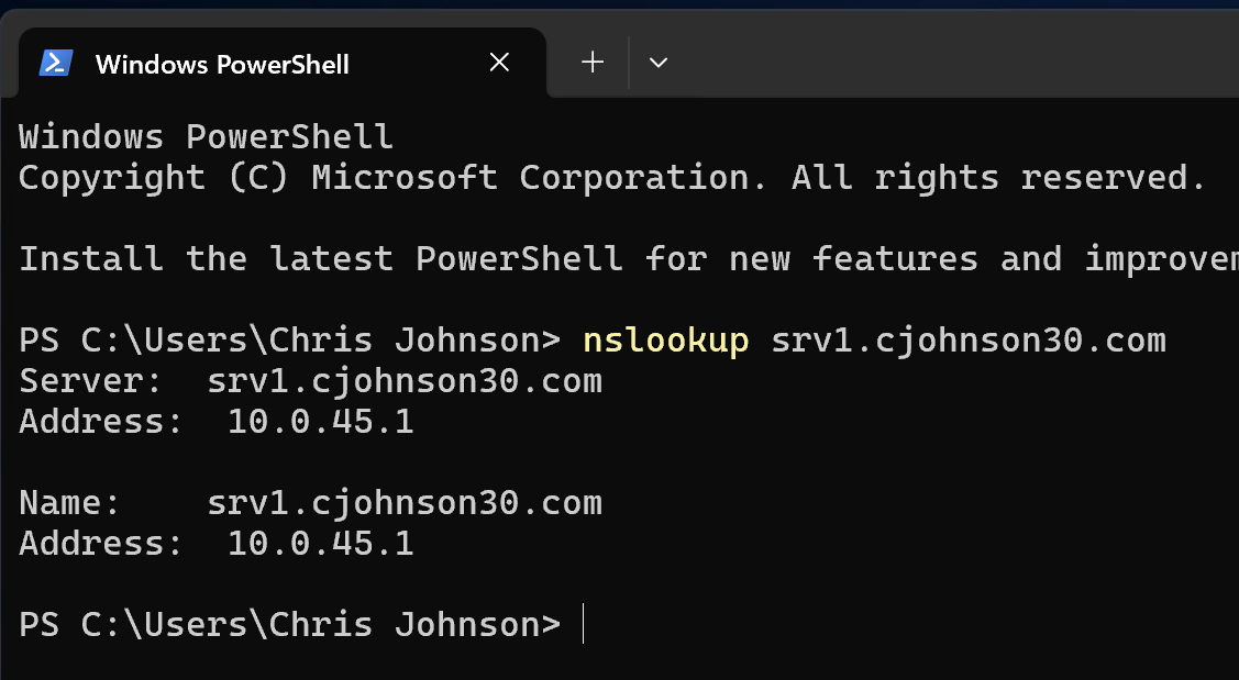 Fig 4. Example of a successful DNS lookup using srv1