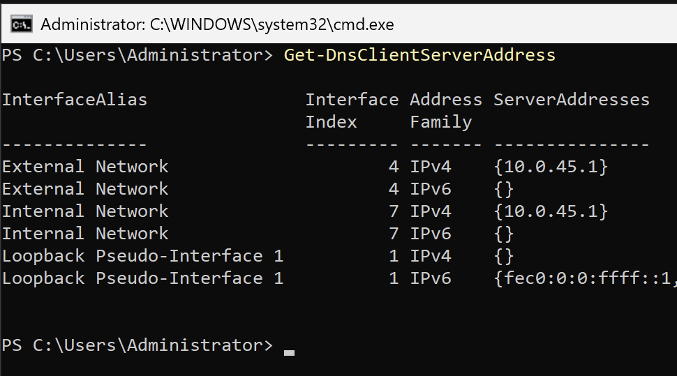 Figure 1 - DNS Server Addresses