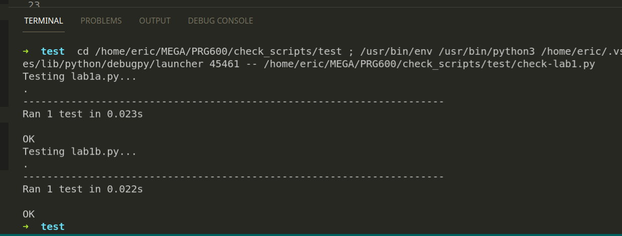 An example of a successful check